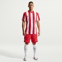 Nike Striped Division V Trikot rot 