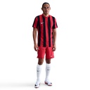 Nike Striped Division V Trikot rot 