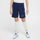 Nike Academy 25 Shorts blau Kinder