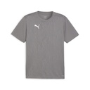 Puma teamFINAL Trikot grau