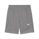 Puma teamFINAL Training Shorts grau