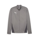 Puma teamGOAL Trainingsjacke grau