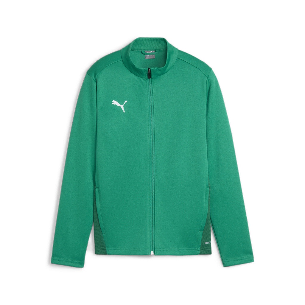 Puma teamGOAL Trainingsjacke grün Kinder