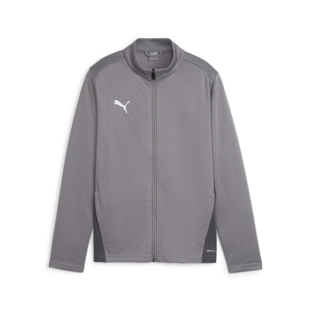 Puma teamGOAL Trainingsjacke grau Kinder