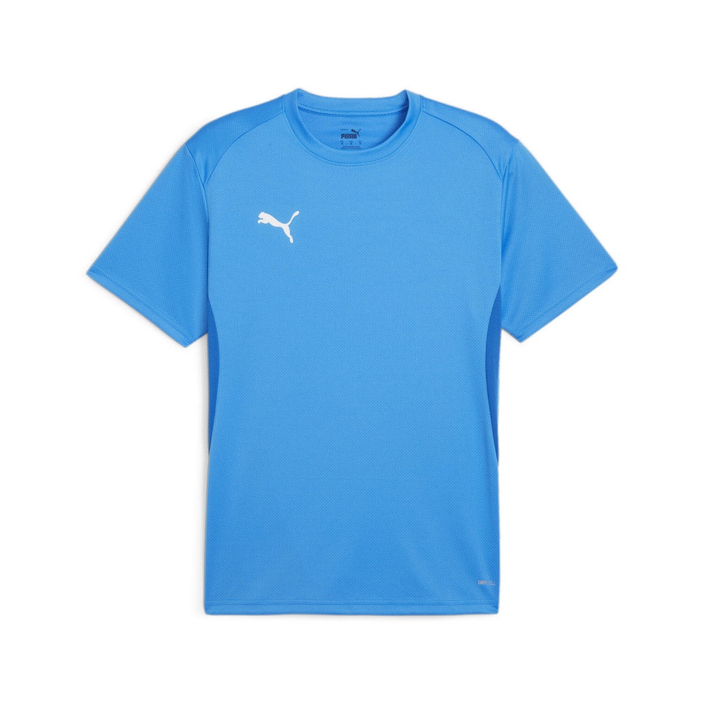 Puma teamGOAL Trikot blau