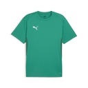 Puma teamGOAL Trikot grün