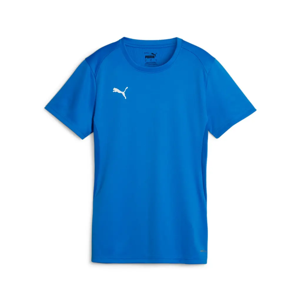 Puma teamGOAL Trikot blau Damen