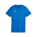 Puma teamGOAL Trikot blau Damen