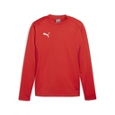 Puma teamGOAL Training Sweatshirt rot 