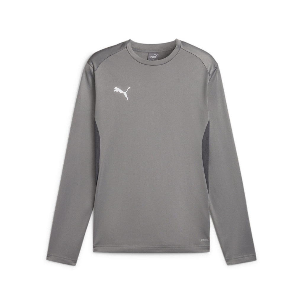 Puma teamGOAL Training Sweatshirt grau