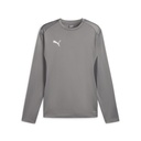 Puma teamGOAL Training Sweatshirt grau