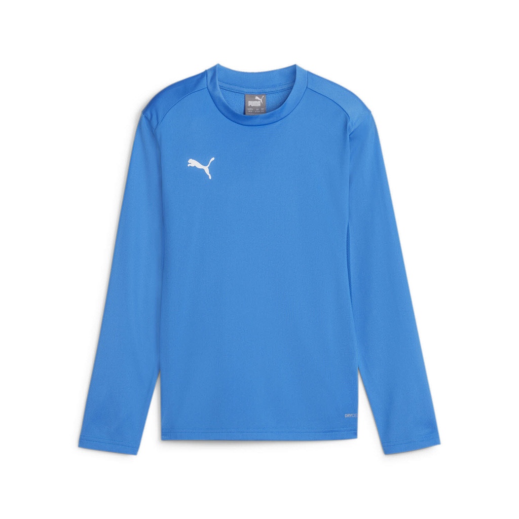 Puma teamGOAL Training Sweatshirt blau Kinder