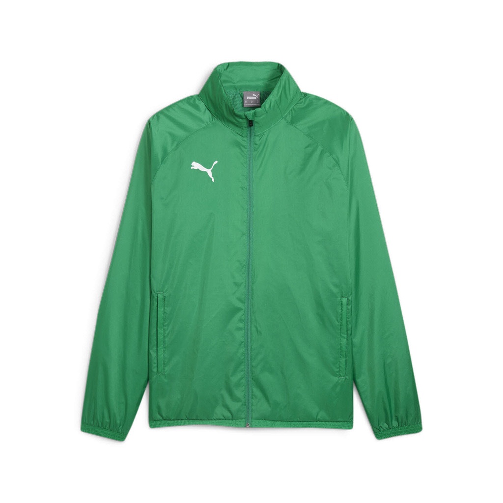 Puma teamGOAL Allwetter Jacke grün