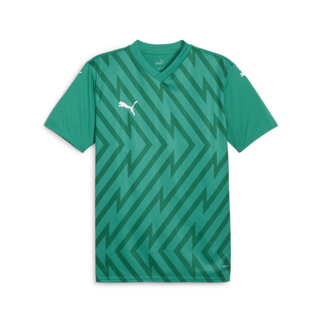 Puma teamGLORY Trikot grün