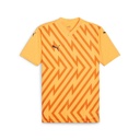 Puma teamGLORY Trikot Orange