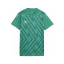 Puma teamGLORY Trikot grün Damen