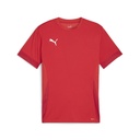 Puma teamGOAL Matchday Trikot rot