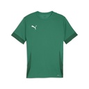 Puma teamGOAL Matchday Trikot grün 