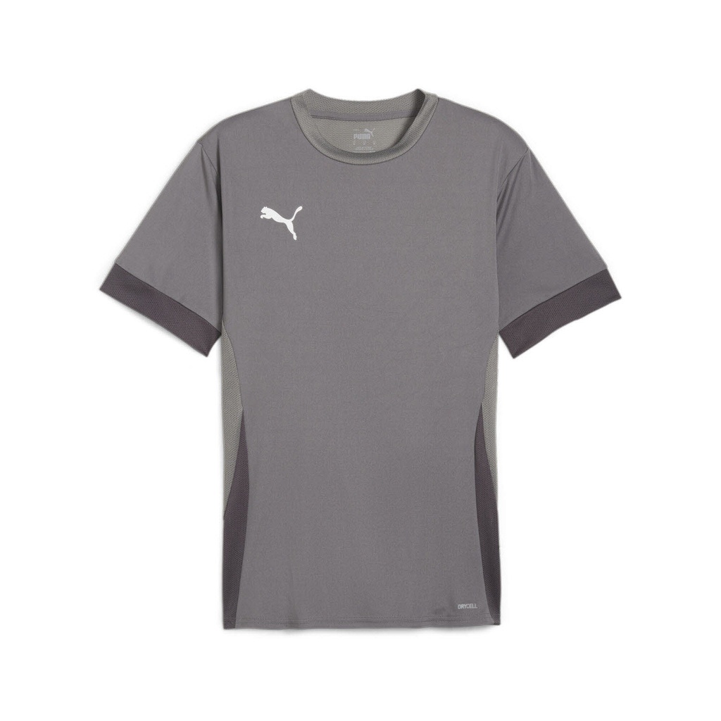 Puma teamGOAL Matchday Trikot grau