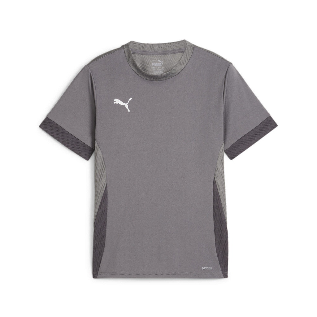 Puma teamGOAL Matchday Trikot grau Kinder