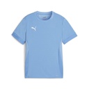 Puma teamGOAL Matchday Trikot hellblau Kinder