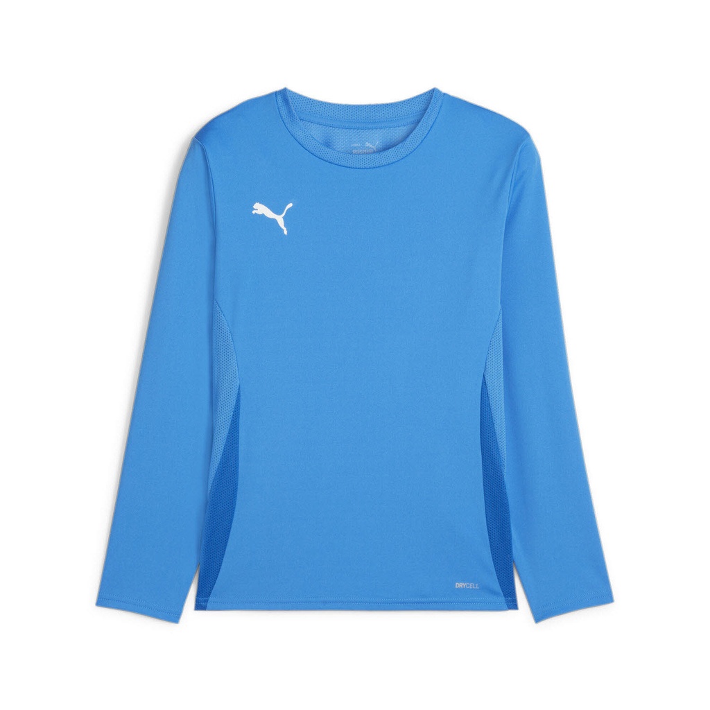 Puma teamGOAL Trikot Langarm blau Kinder