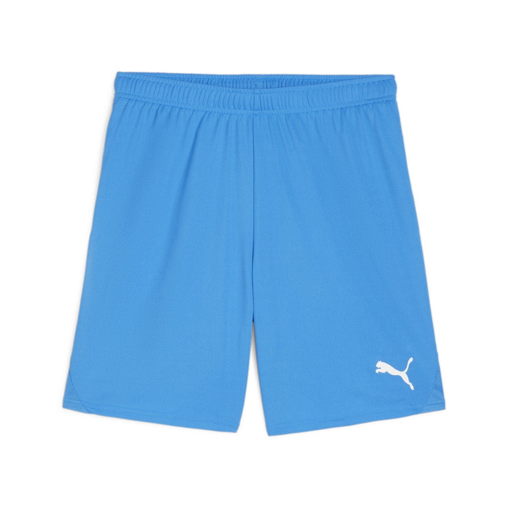 Puma teamGOAL Shorts blau