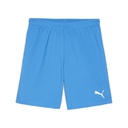 Puma teamGOAL Shorts blau