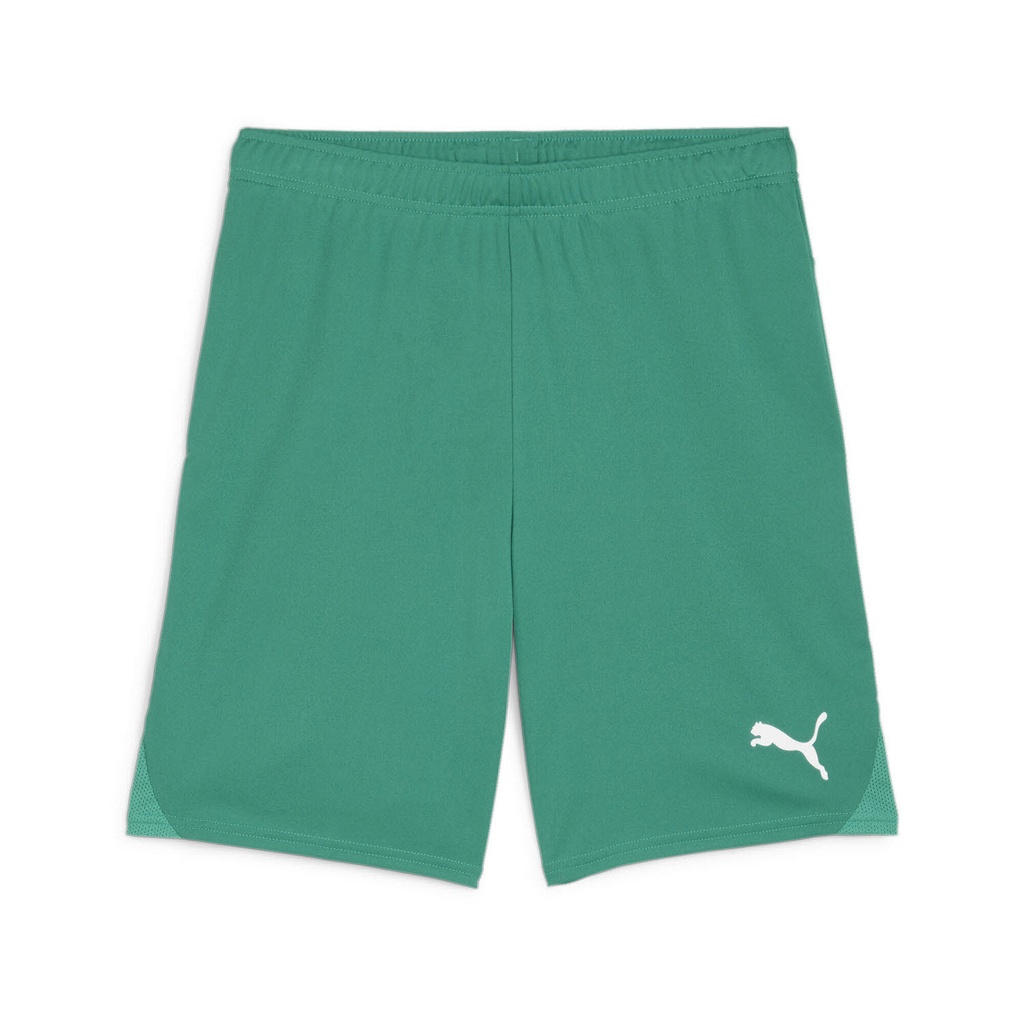 Puma teamGOAL Shorts grün