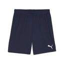 Puma teamGOAL Shorts dunkelblau