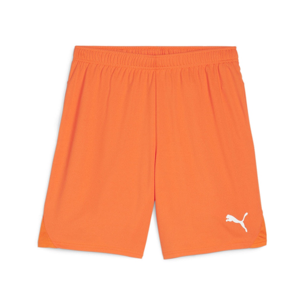 Puma teamGOAL Shorts orange