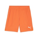 Puma teamGOAL Shorts orange