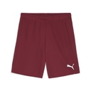 Puma teamGOAL Shorts dunkelrot