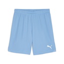 Puma teamGOAL Shorts hellblau