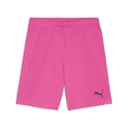 Puma teamGOAL Shorts pink