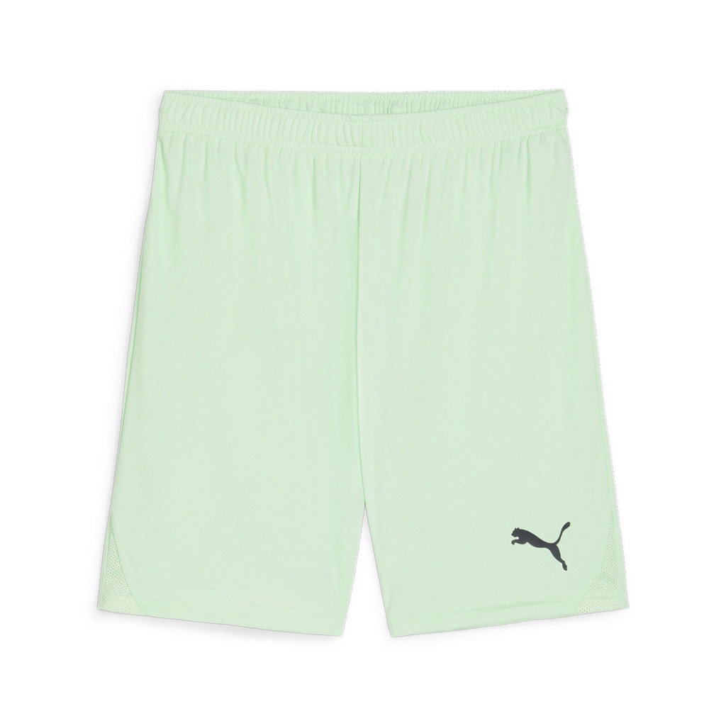 Puma teamGOAL Shorts hellgrün