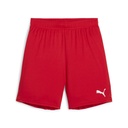 Puma teamGOAL Shorts rot Kinder