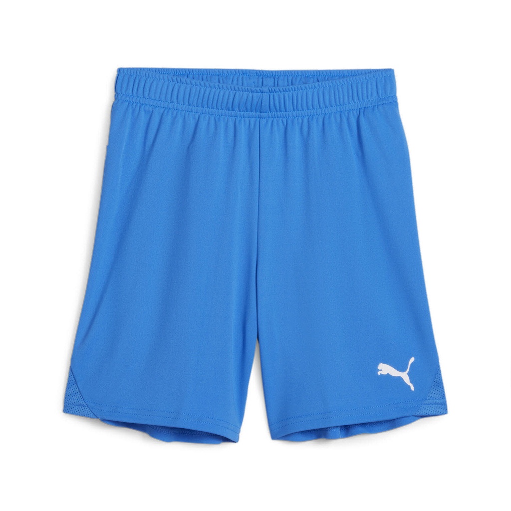 Puma teamGOAL Shorts blau Kinder