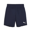 Puma teamGOAL Shorts dunkelblau Kinder