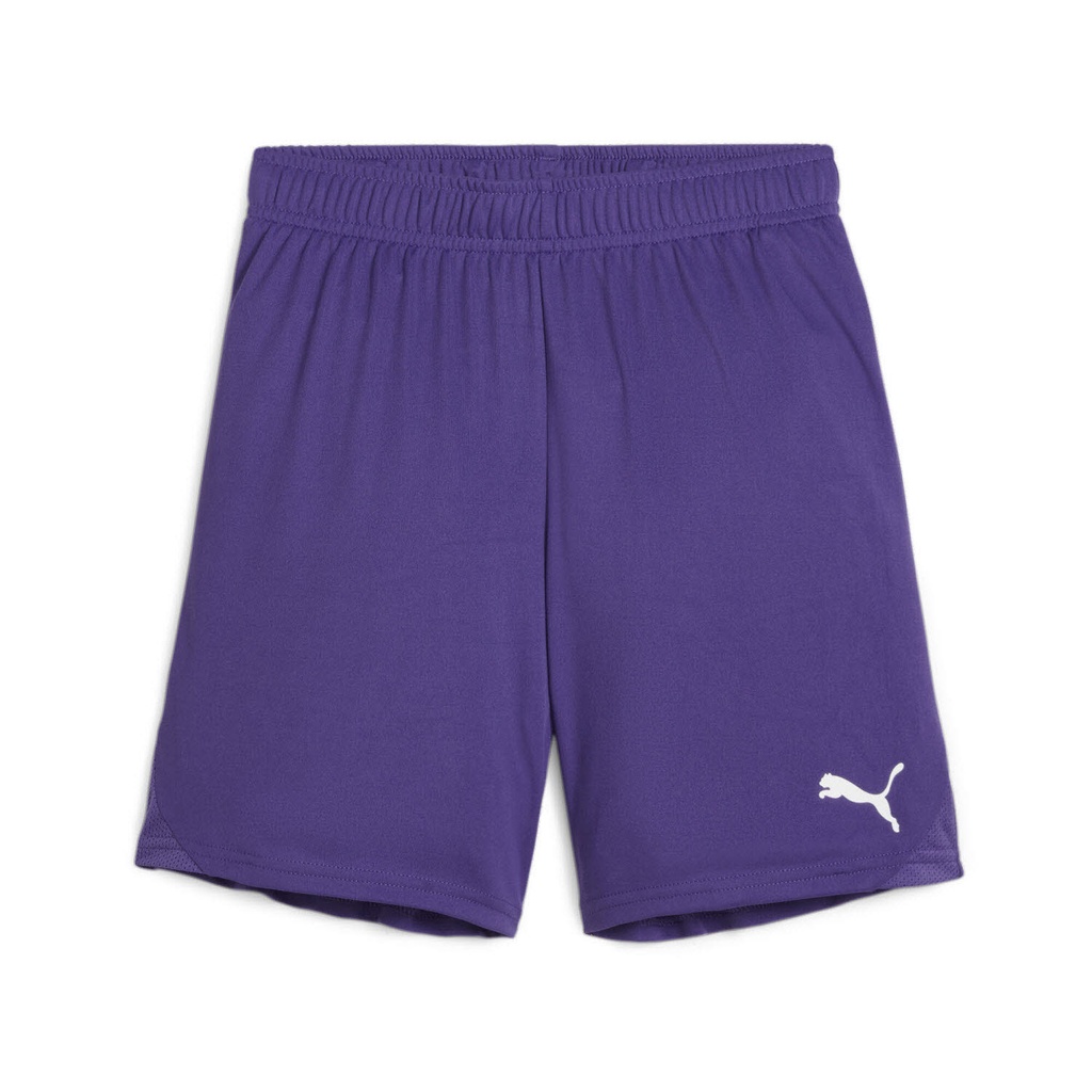 Puma teamGOAL Shorts lila Kinder