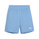 Puma teamGOAL Shorts hellblau Kinder