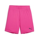 Puma teamGOAL Shorts pink Kinder