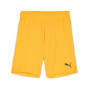 Puma teamGOAL Shorts gelb Kinder