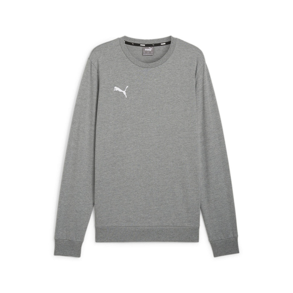 Puma teamGOAL Casuals Sweatshirt grau