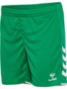 Hummel Core 2.0 Shorts grün Damen 