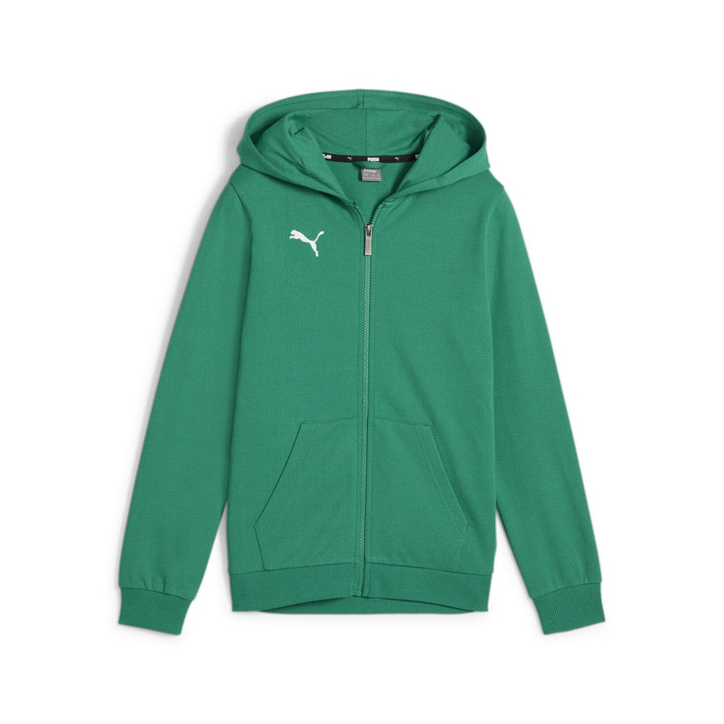 Puma teamGOAL Casuals Kapuzenjacke grün Kinder