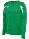 Hummel Core 2.0 Trikot Langarm grün
