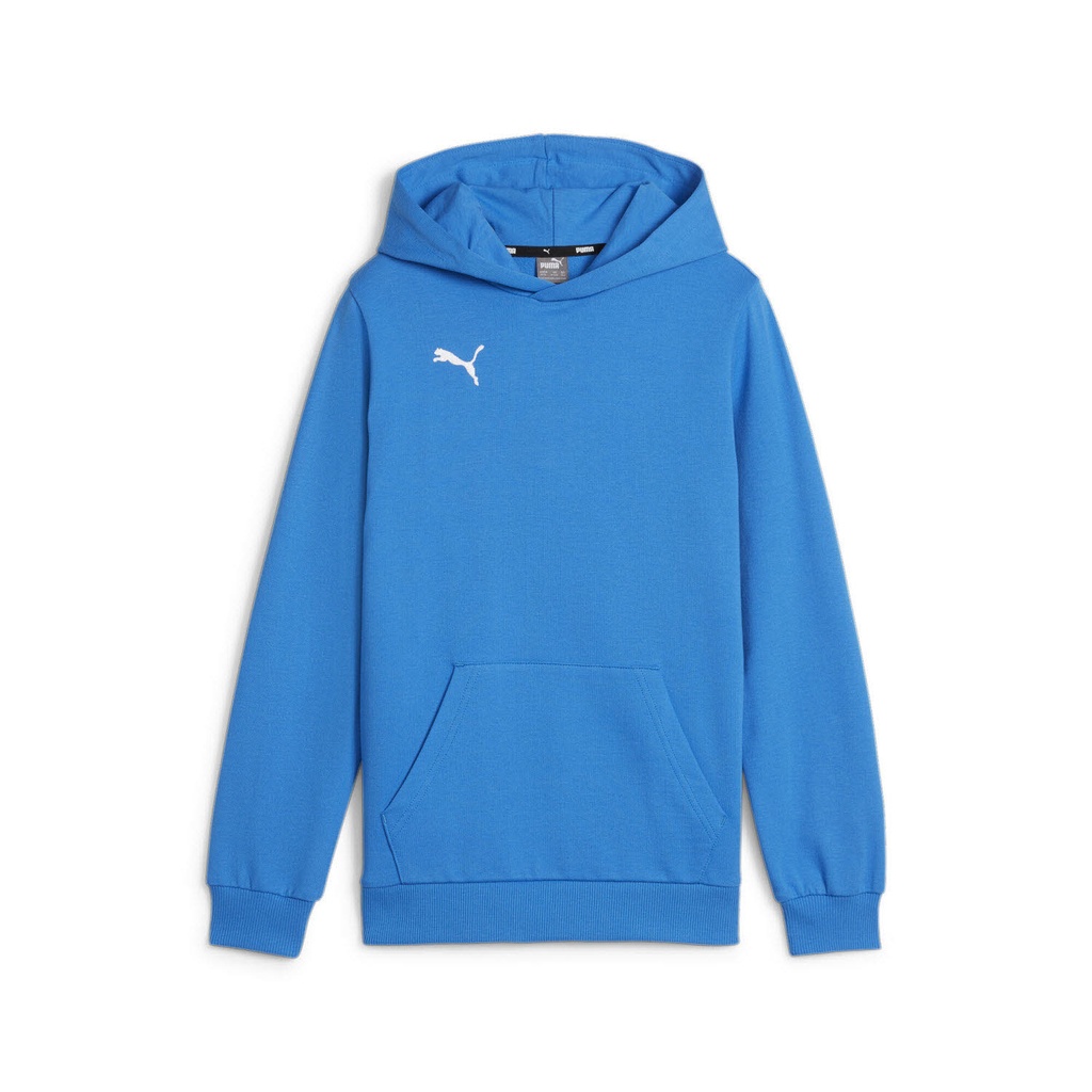 Puma teamGOAL Casuals Hoodie blau Kinder