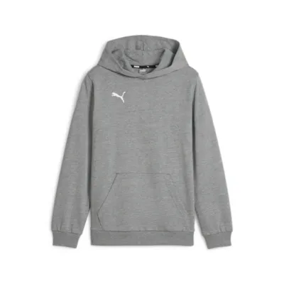 Puma teamGOAL Casuals Hoodie grau Kinder