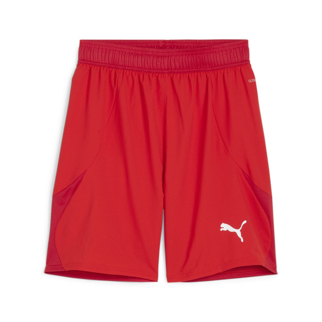 Puma teamFINAL Shorts rot